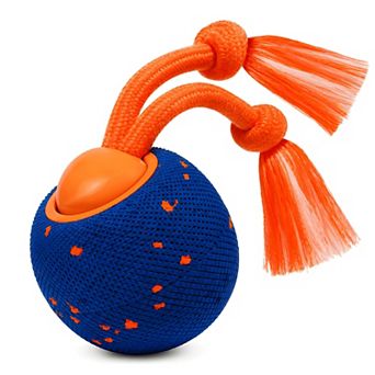 Smart Rolling Dog Ball