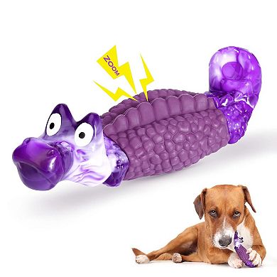 Indestructible Dog Chew Toy