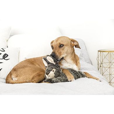 Plush Rabbit Dog Toy