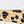 White And Leopard