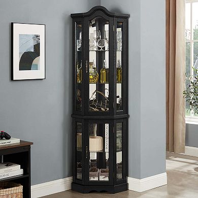 Glass Display Curio Cabinet with Shelves