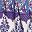 Blue Purple Beige