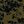 Olive Green Black