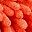 Rose Red Orange