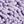 Orange Purple