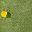Yellow Green