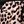 Leopard Print