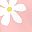 Pink White Flowers