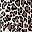 Brown Leopard