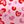 Pink Leopard