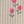 Ivory Pink Floral