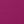 Festival Fuchsia