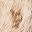 Beige Animal Print Fur