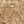 Light Khaki