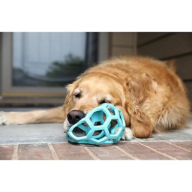 Rubber Dog Puzzle Ball