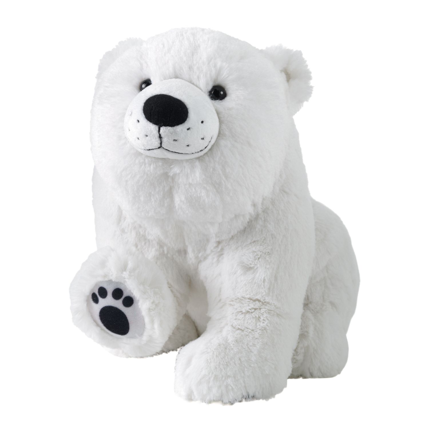 polar teddy