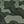 Green Camo