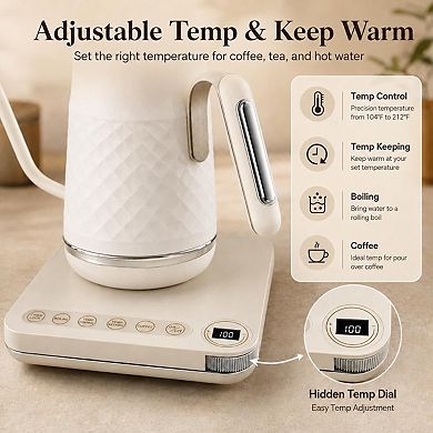 Multi functional coffee and tea pouring pot with temperature control and insulation