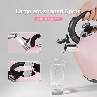 Electric Water Kettle with Temperature Recorder, Safety Protection for Tea & Coffee