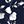 Navy Floral Print