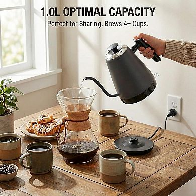 Stainless Steel Gooseneck Kettle, Precise Nozzle, Auto Shut-Off & Dry Burn Protection