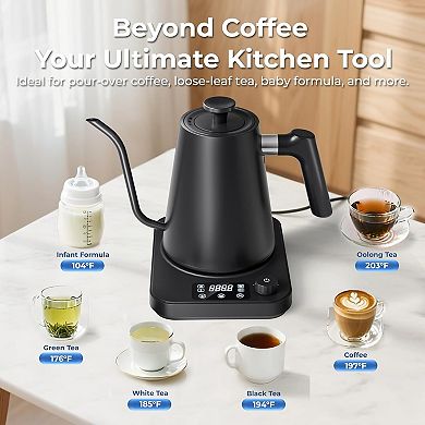 Stainless Steel Gooseneck Kettle, Fast Heating, ±1°F Temp Control with Auto Memory