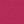 Canvas Hot Pink