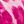Regent Leopard Pink