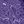Midnight Violet
