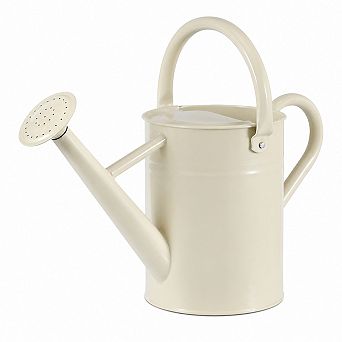 1 Gallon Galvanized Steel Watering Can Indoor Outdoor Gardening With Removable Spout