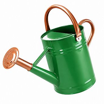 1 Gallon Metal Watering Can With Sprinkler Head For Indoor Outdoor Garden Plants