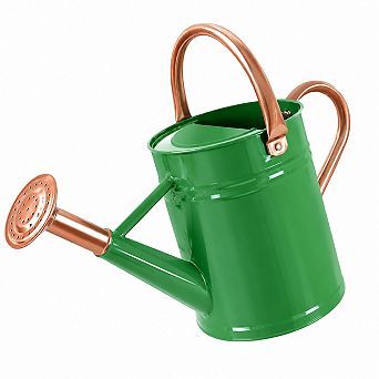 1 Gallon Metal Watering Can With Sprinkler Head For Garden Plants