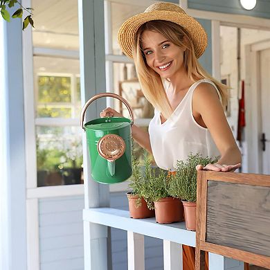 1 Gallon Metal Watering Can With Sprinkler Head For Garden Plants