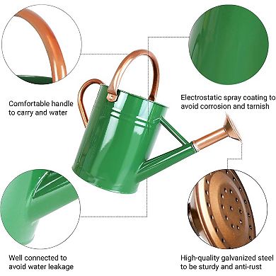 1 Gallon Metal Watering Can With Sprinkler Head For Garden Plants