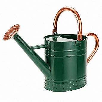 1 Gallon Galvanized Steel Watering Can Removable Spout Embossed Design Indoor Outdoor Plants