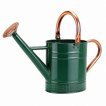 1 Gallon Galvanized Steel Metal Watering Can Removable Spout Embossed Design Indoor Outdoor Plants