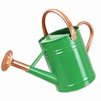 1 Gallon Metal Watering Can With Sprinkler Head For Garden Plants