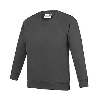 Awdis Childrens/Kids Academy Raglan Sweatshirt