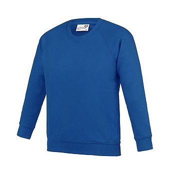 Awdis Childrens/Kids Academy Raglan Sweatshirt
