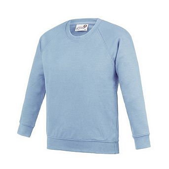Awdis Childrens/Kids Academy Raglan Sweatshirt
