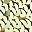 Gold Tone