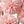 Light Pink Dark Pink
