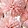Light Pink Dark Pink