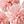 White Light Pink