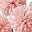 White Light Pink