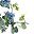 Champagne Blue Flower