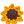 Love Sunflower