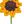 Yellow Love Sunflower