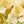 Dark Blue Yellow