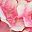 Light Blue Dark Pink